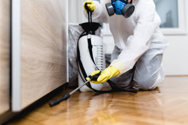 Best Pest Prevention Services  in Mobridge, SD