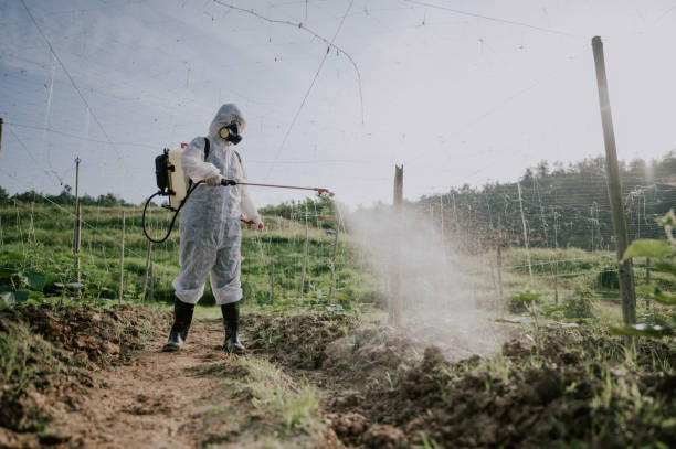 Best Pest Removal Services  in Mobridge, SD