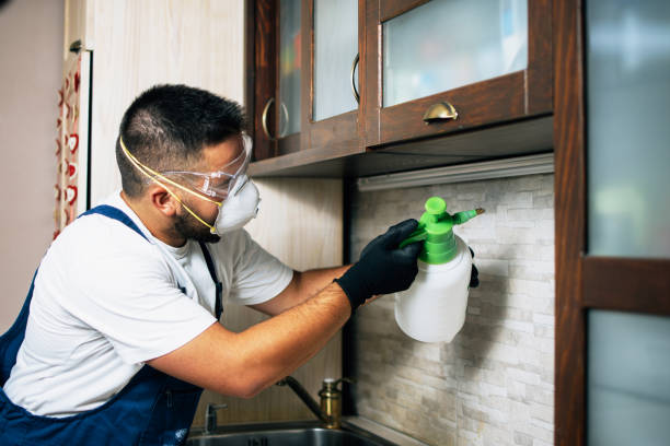 Best Pest Inspection Near Me  in Mobridge, SD