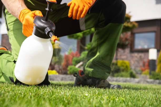 Best Best Pest Control Companies  in Mobridge, SD