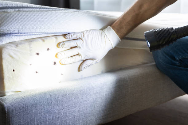 Best Affordable Pest Control Services  in Mobridge, SD