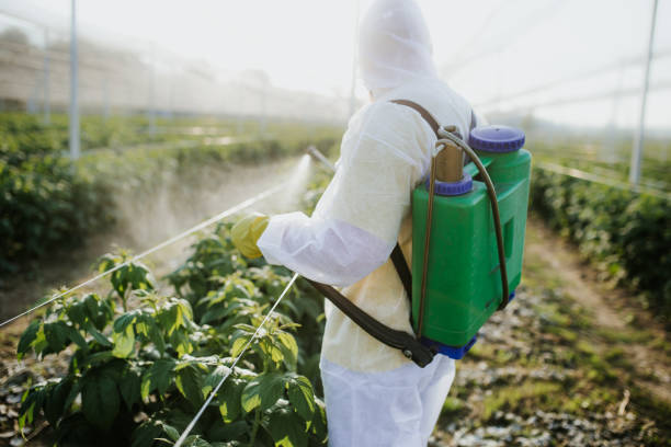 Best Local Pest Control Services  in Mobridge, SD